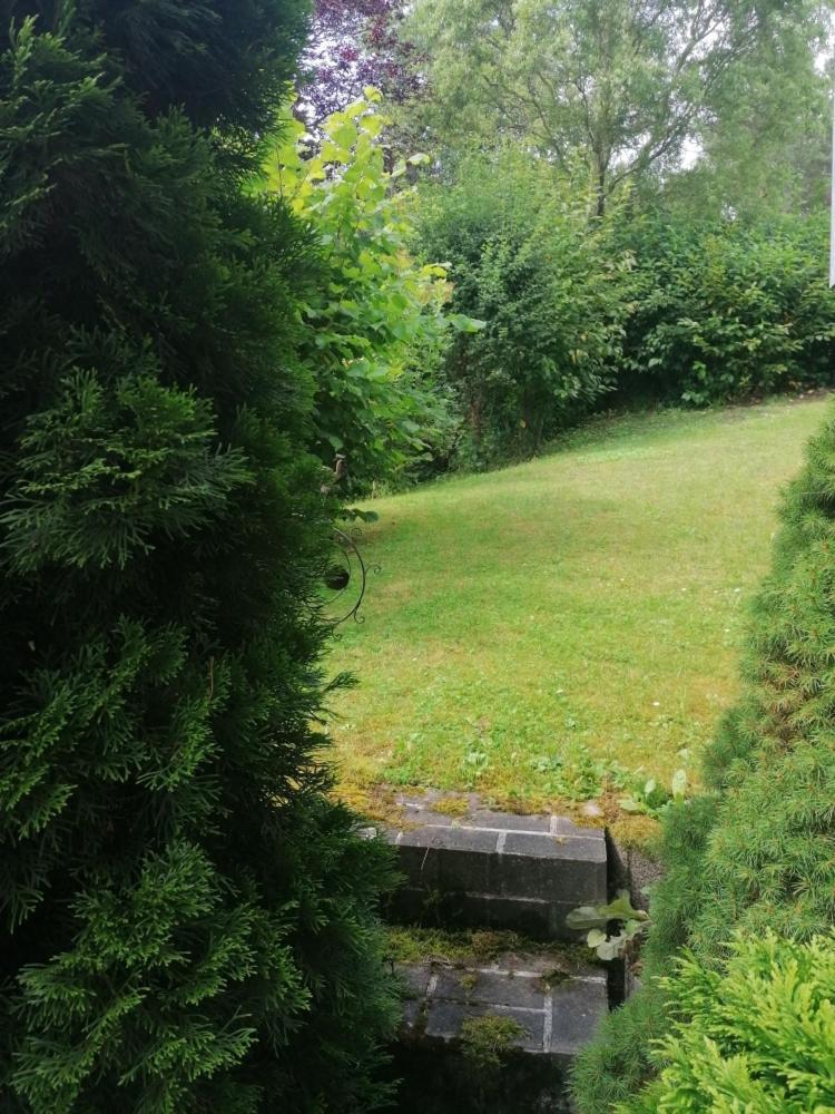 Fewo Grenzenlos In Ramsberg Pleinfeld Exterior photo